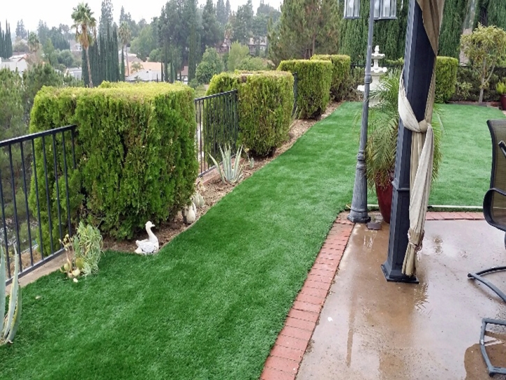 Synthetic Grass Elgin South Carolina Landscape Back Yard