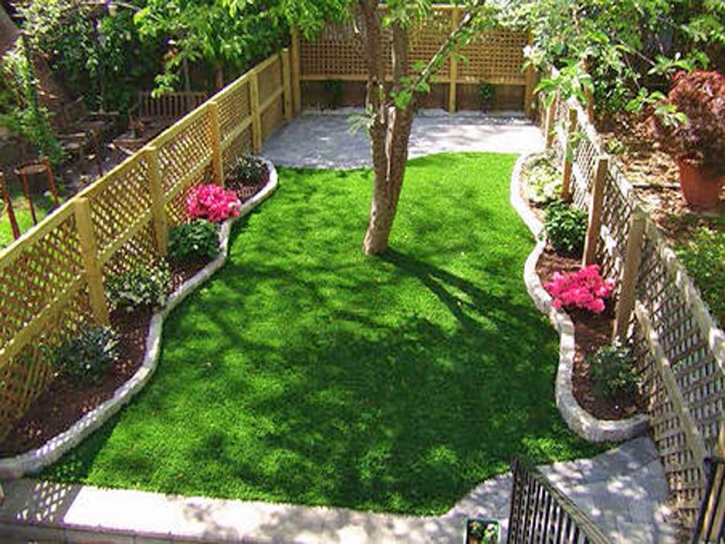 Synthetic Grass Elgin South Carolina Lawn Back Yard