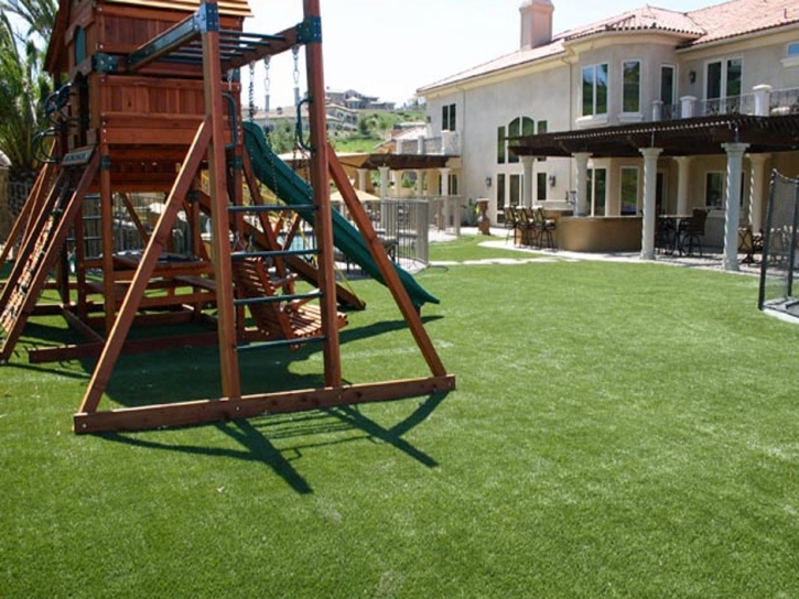 Synthetic Grass Fairview North Carolina Playgrounds Back