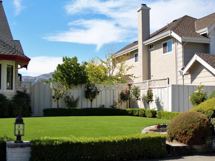 Synthetic Grass Fallston North Carolina Lawn Front Yard