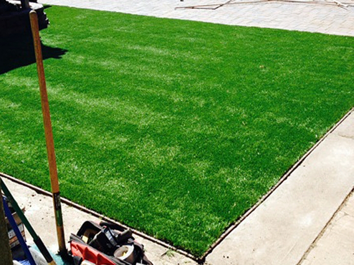 Synthetic Grass Fort Lawn South Carolina Lawn