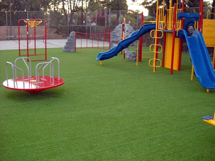 Synthetic Grass Great Falls South Carolina Childcare Facilities