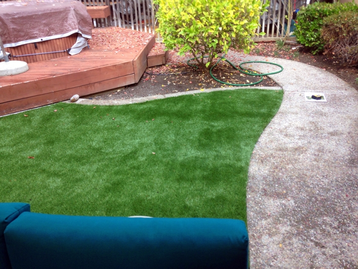 Synthetic Grass Henrietta North Carolina Lawn Back Yard