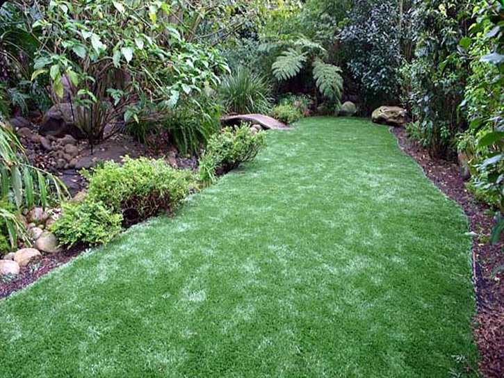 Synthetic Grass Irwin South Carolina Lawn Back Yard