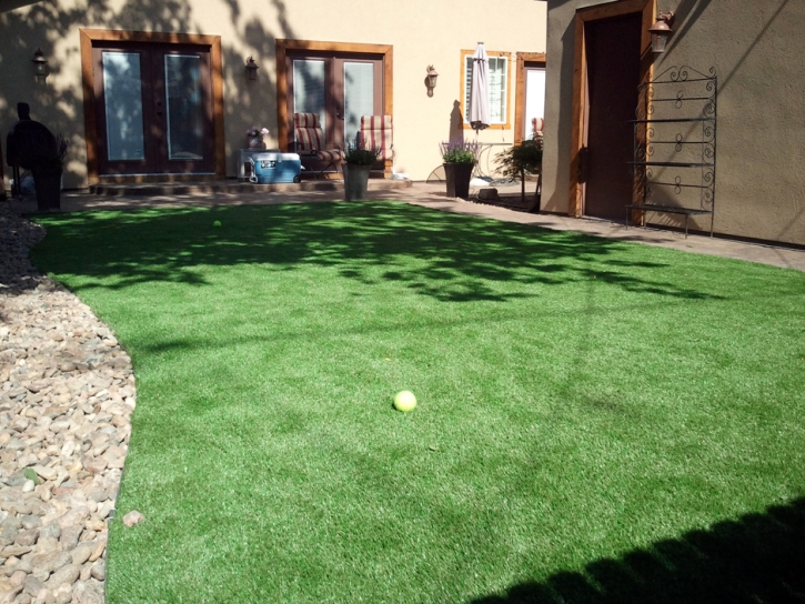 Synthetic Grass Maiden North Carolina Lawn Back Yard