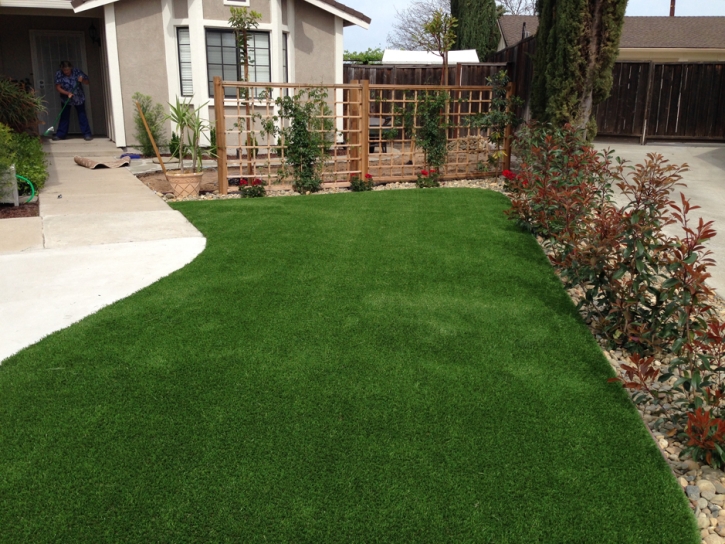 Synthetic Grass McBee South Carolina Lawn