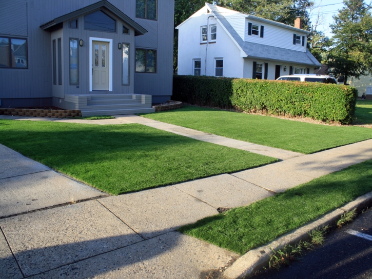 Synthetic Grass McConnells South Carolina Lawn Front Yard