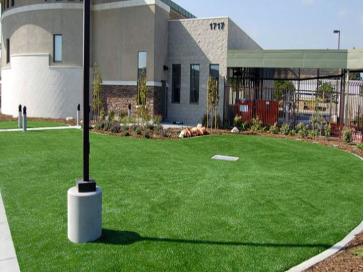 Synthetic Grass New London North Carolina Lawn Commercial