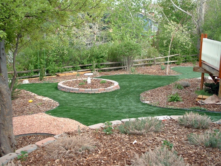 Synthetic Grass Salem North Carolina Lawn Back Yard