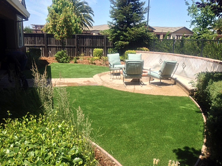 Synthetic Grass Tyro North Carolina Landscape Back Yard