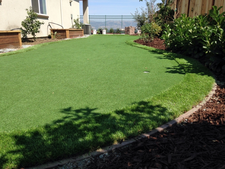 Synthetic Grass Waxhaw North Carolina Landscape Back Yard