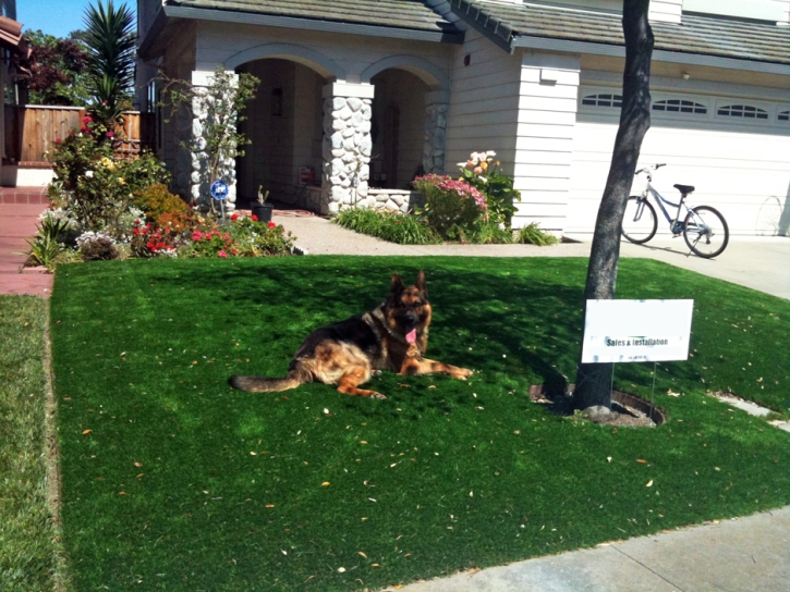 Synthetic Pet Grass Indian Trail North Carolina Installation