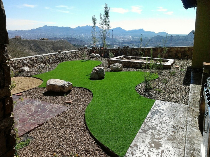 Synthetic Pet Grass Smyrna South Carolina Installation Back