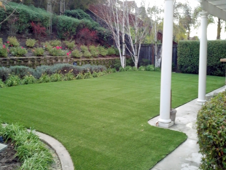 Synthetic Pet Turf Faith North Carolina for Dogs Back Yard