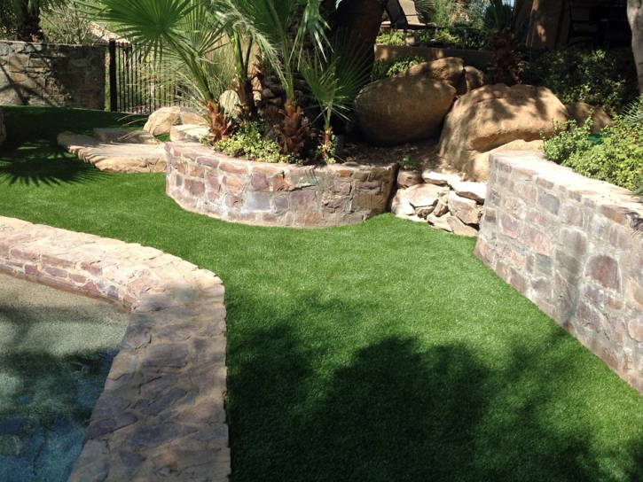 Synthetic Pet Turf Pageland South Carolina Installation Swimming