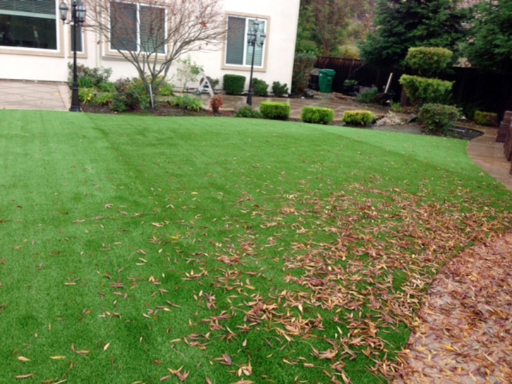 Synthetic Turf Bethlehem North Carolina Landscape Back