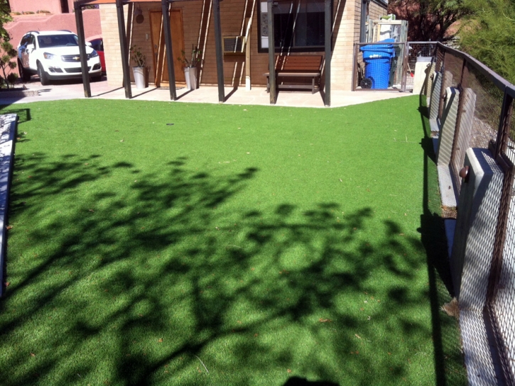 Synthetic Turf Biscoe North Carolina Lawn Back Yard