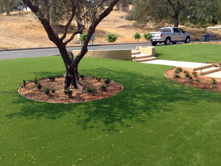 Synthetic Turf Burnsville North Carolina Landscape Front