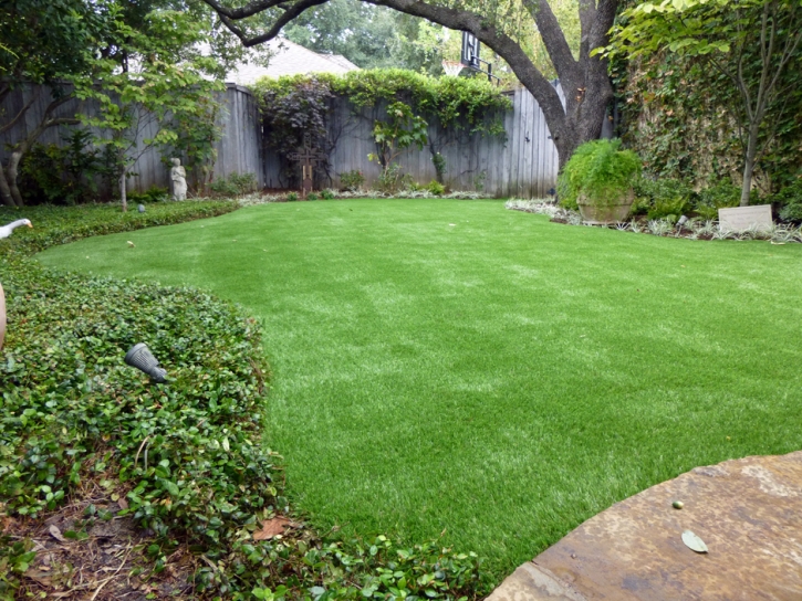 Synthetic Turf Catawba South Carolina Landscape Back Yard