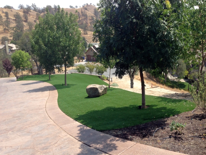 Synthetic Turf Clover South Carolina Lawn Front Yard