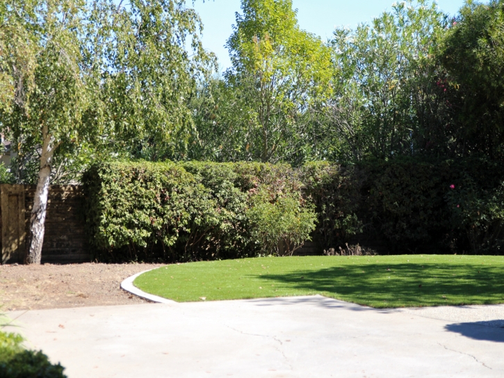 Synthetic Turf Conover North Carolina Lawn Back Yard