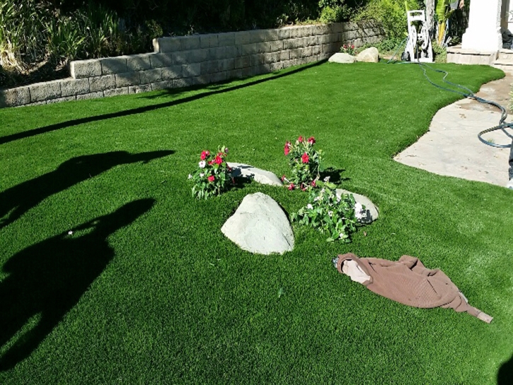 Synthetic Turf Elgin South Carolina Landscape Front Yard