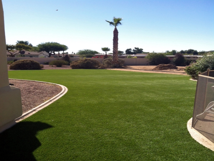 Synthetic Turf Fort Mill South Carolina Landscape Back