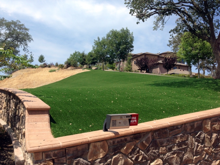 Synthetic Turf Hickory Grove South Carolina Landscape Front