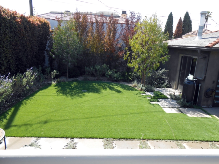 Synthetic Turf Lake Norman of Catawba North Carolina Landscape