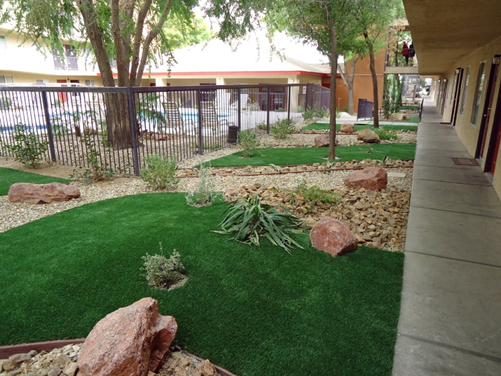 Synthetic Turf Lake Wylie South Carolina Lawn Commercial