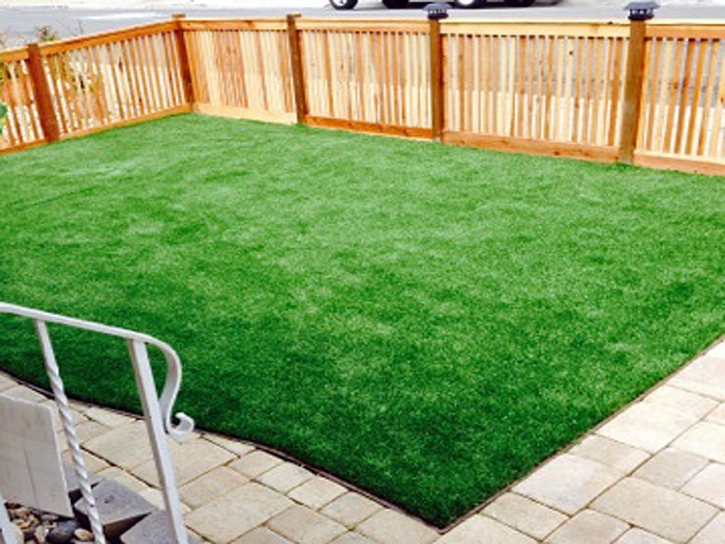 Synthetic Turf Light Oak North Carolina Lawn Back Yard