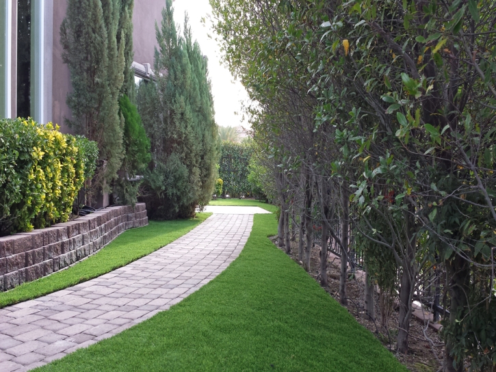 Synthetic Turf Maiden North Carolina Landscape Front Yard