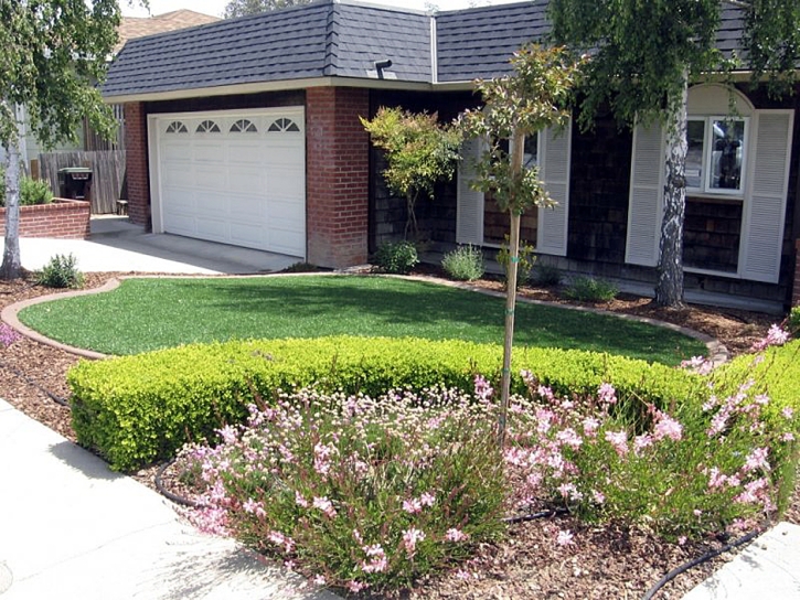 Synthetic Turf Mayo South Carolina Landscape Front Yard