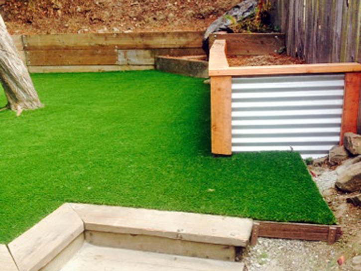 Synthetic Turf Misenheimer North Carolina Landscape Back