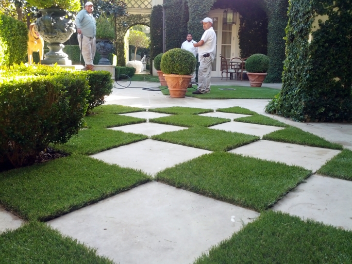 Synthetic Turf Ruby South Carolina Lawn Pavers