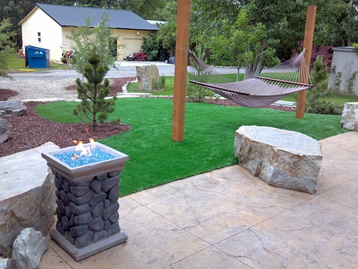 Synthetic Turf Sharon South Carolina Landscape Front Yard