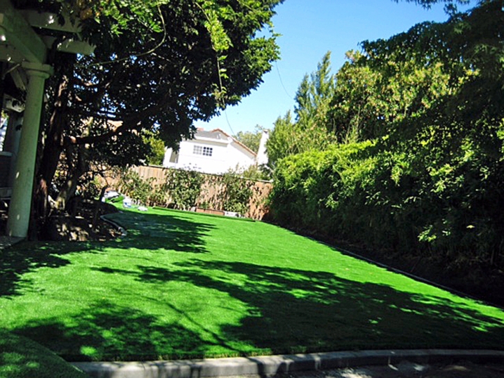 Synthetic Turf Spencer Mountain North Carolina Lawn Back