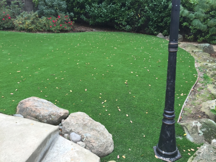 Synthetic Turf Spindale North Carolina Lawn