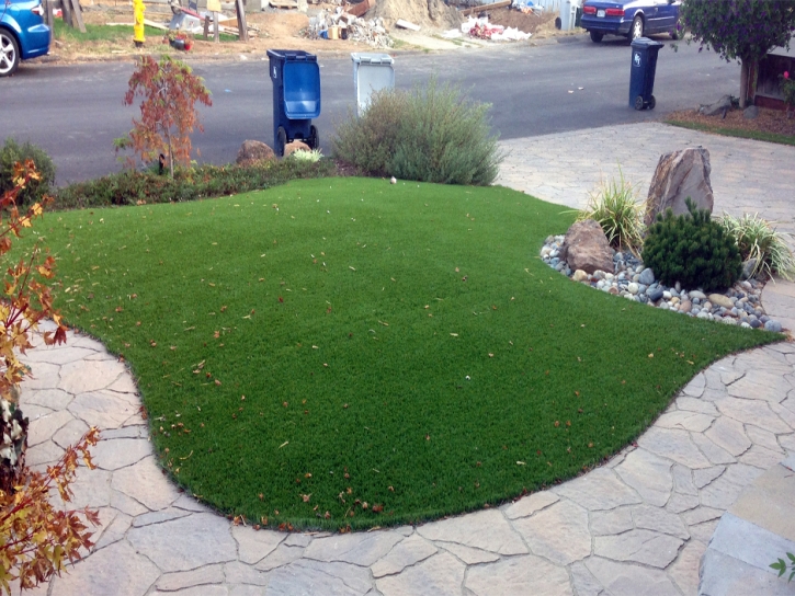 Synthetic Turf Washington Park North Carolina Lawn