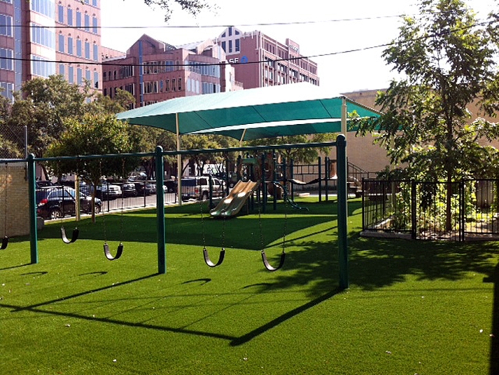 Synthetic Turf Waxhaw North Carolina School Commercial Landscape